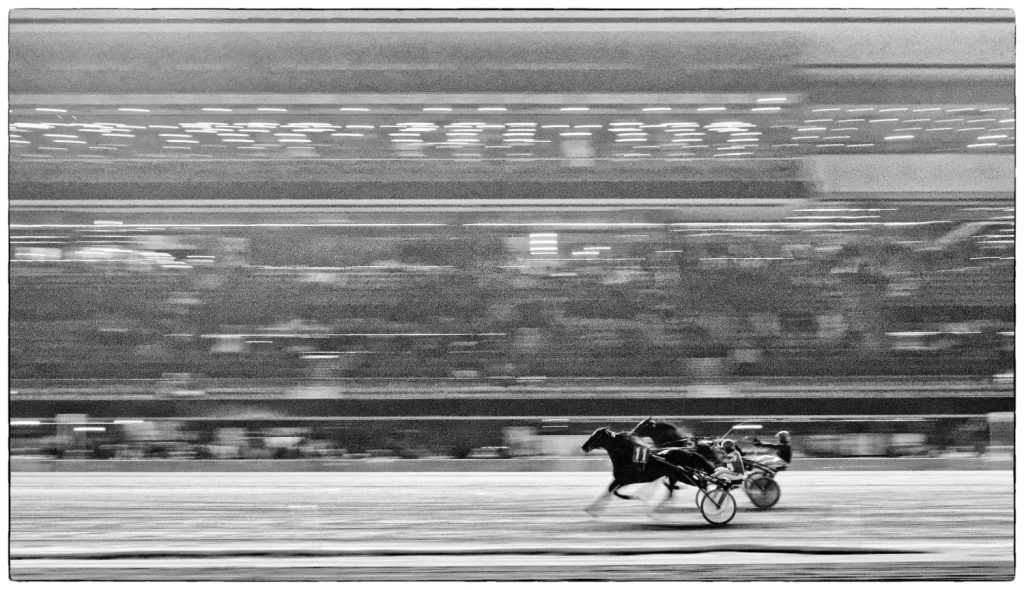 03_Horseracing
