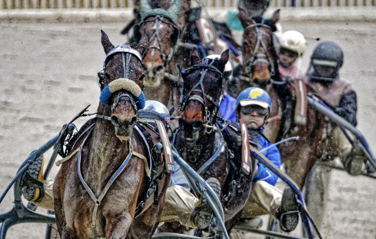 04_Horseracing