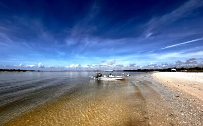 Florida, Everglades by Vicky Cortesi