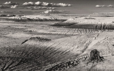Un oceano deserto di Stefano Bottoli