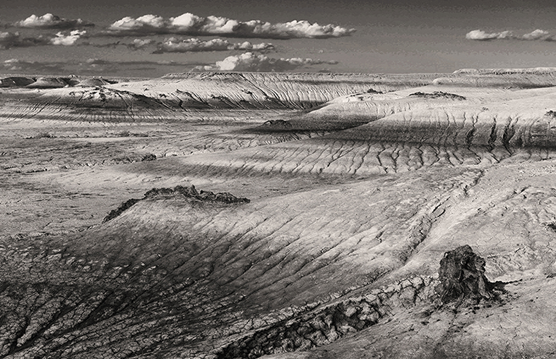 Un oceano deserto di Stefano Bottoli